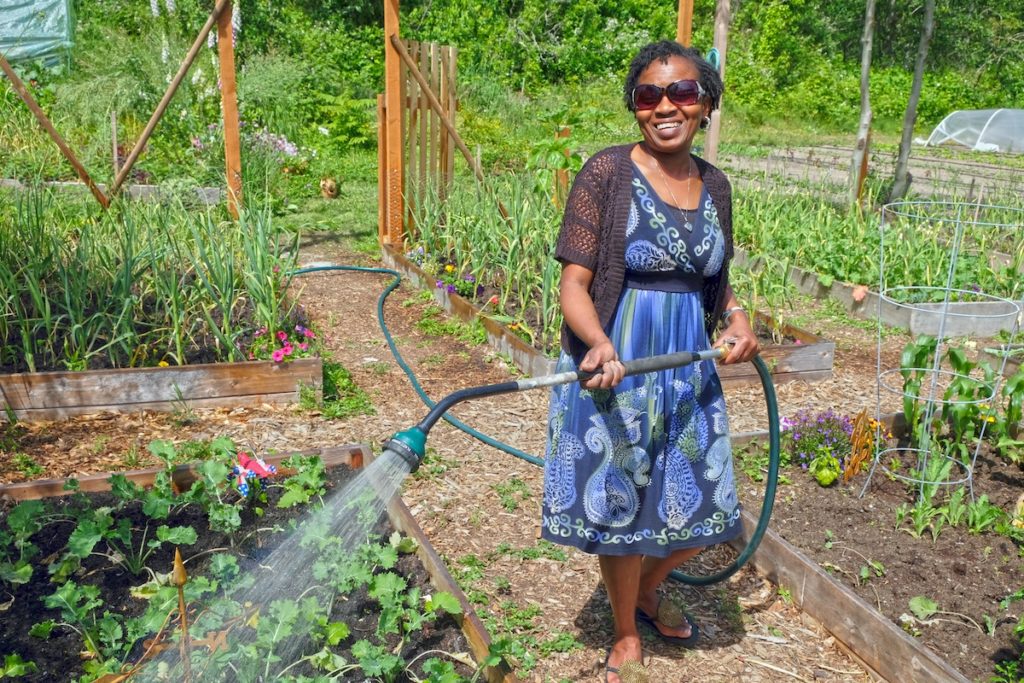 Irene waters a garden