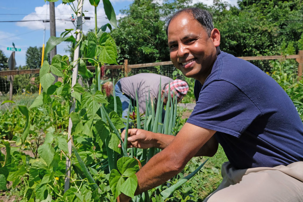A grower tends to plants at Namaste Community Garden.