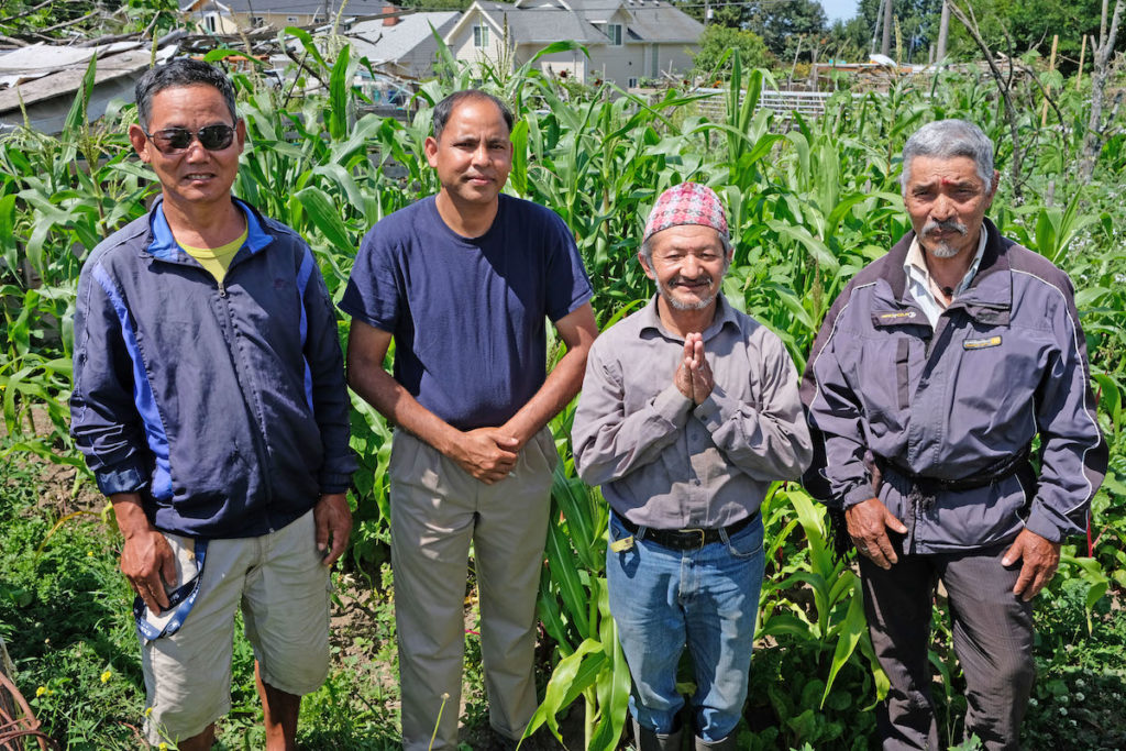 Four growers stand in their garden.